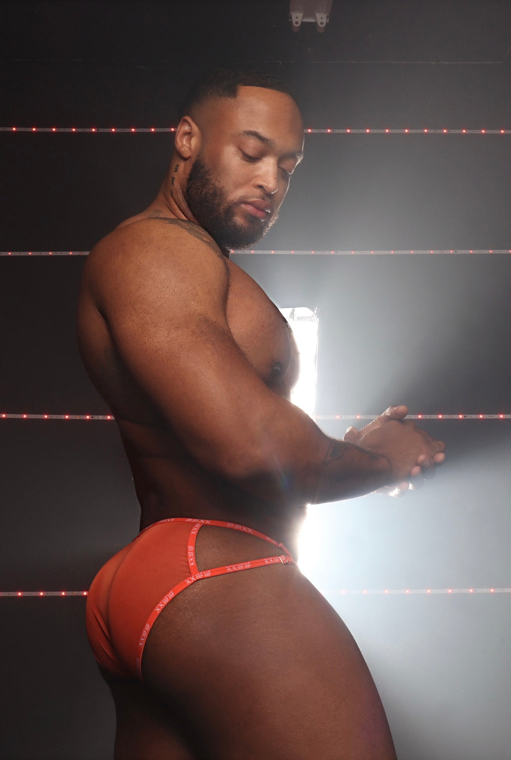 Twin Flame Brief