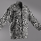 The "Stallion" Zebra 2 Piece Set