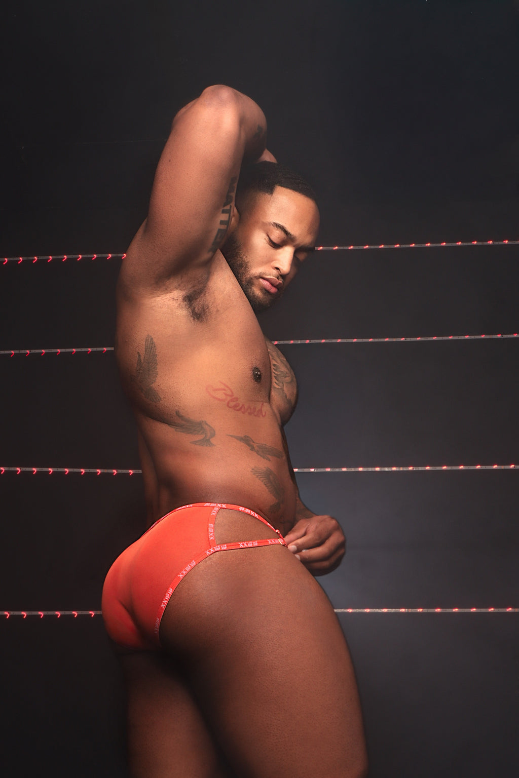 Twin Flame Brief