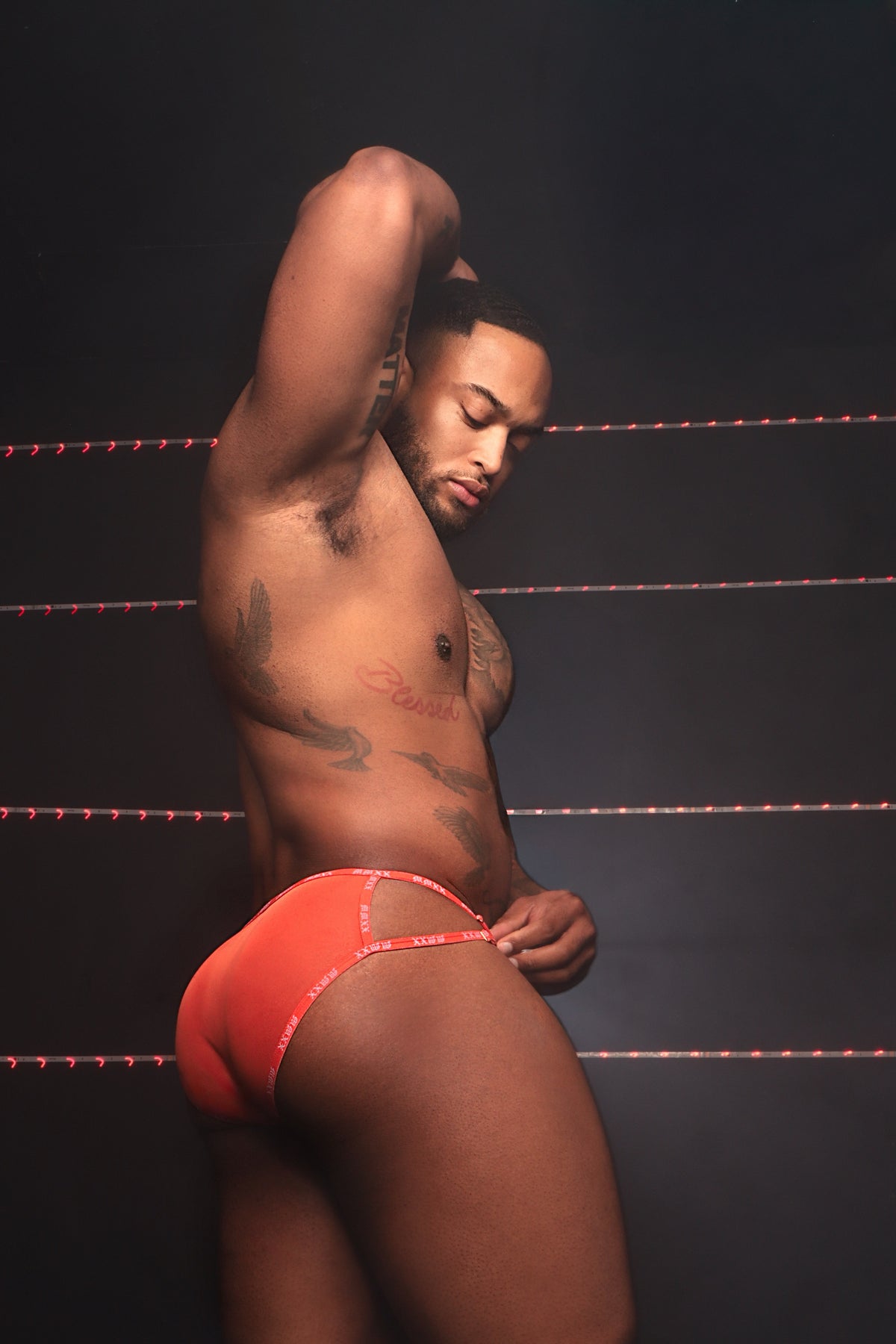 Twin Flame Brief